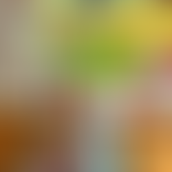 Meet the Maker - Lola's Lampshades