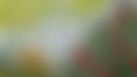 Creating a Space to Heal 