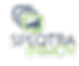 Speqtra Innov Logo_edited.png
