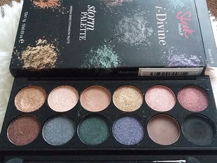 Review & Swatches Paleta Storm Sleek