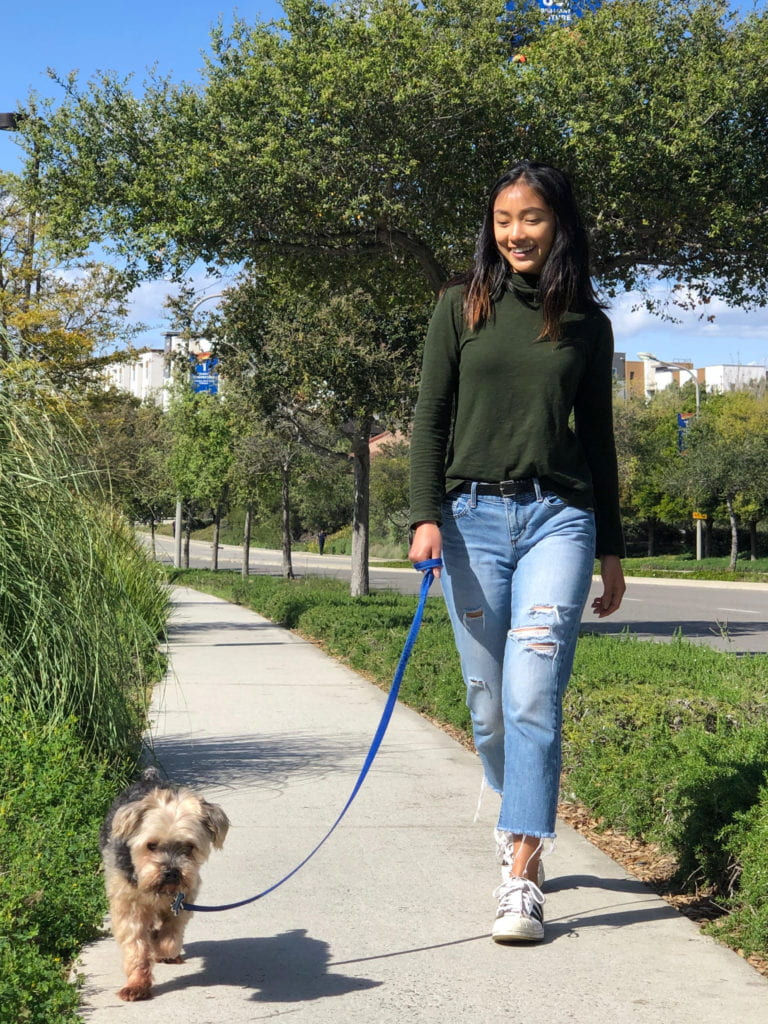 FRANKLIN-DOG-WALKING-768x1024