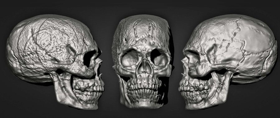 3d sculpt