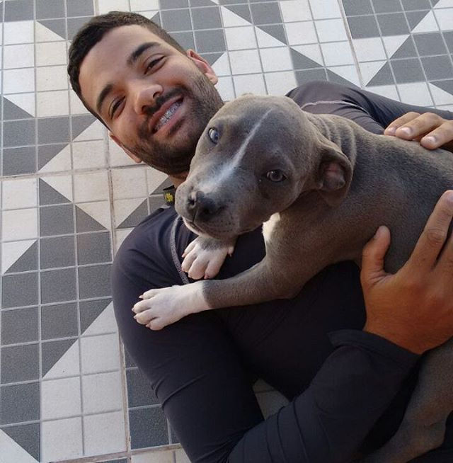 Mais um filhotinho da Kyara dando tchau..