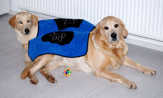 Dry Pet - Microfasertuch