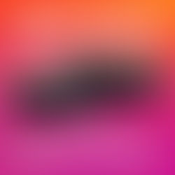 Experience Austin City Limits in Style with Five Oh Limo!