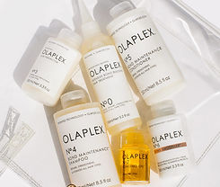 olaplex.jpeg