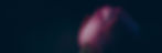 flower-3-positioned.jpg