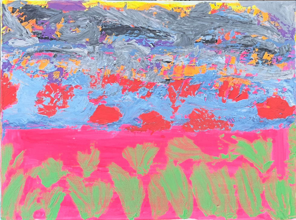 Cloudy Day in a Pink Field