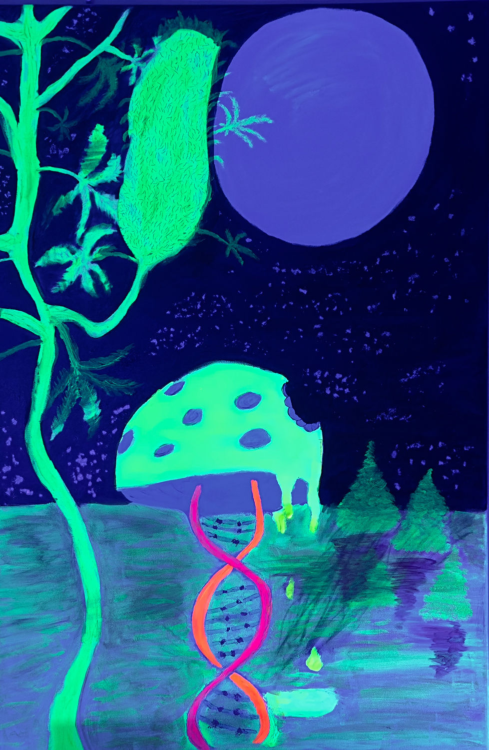 Shroom