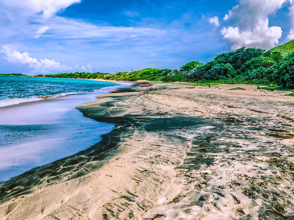 Island Beach