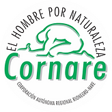 Logo Cornare (1).png