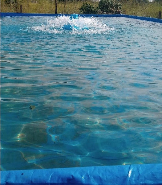 Imagem tanque Escavado com aerador