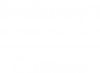 Sotheby's International Realty Canada Logo