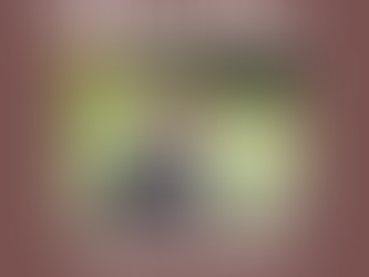 Peter Van Ess podcast