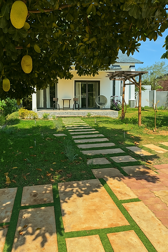 ChatGPT Image 15_10_49 28 thg 4, 2025.png