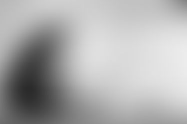 Baby Photography Session - Bayswater