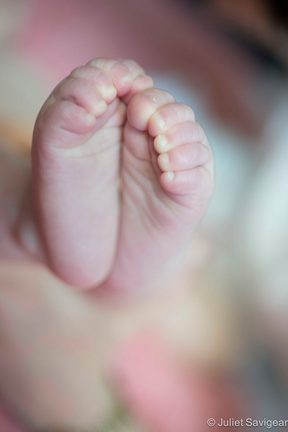 Baby Feet