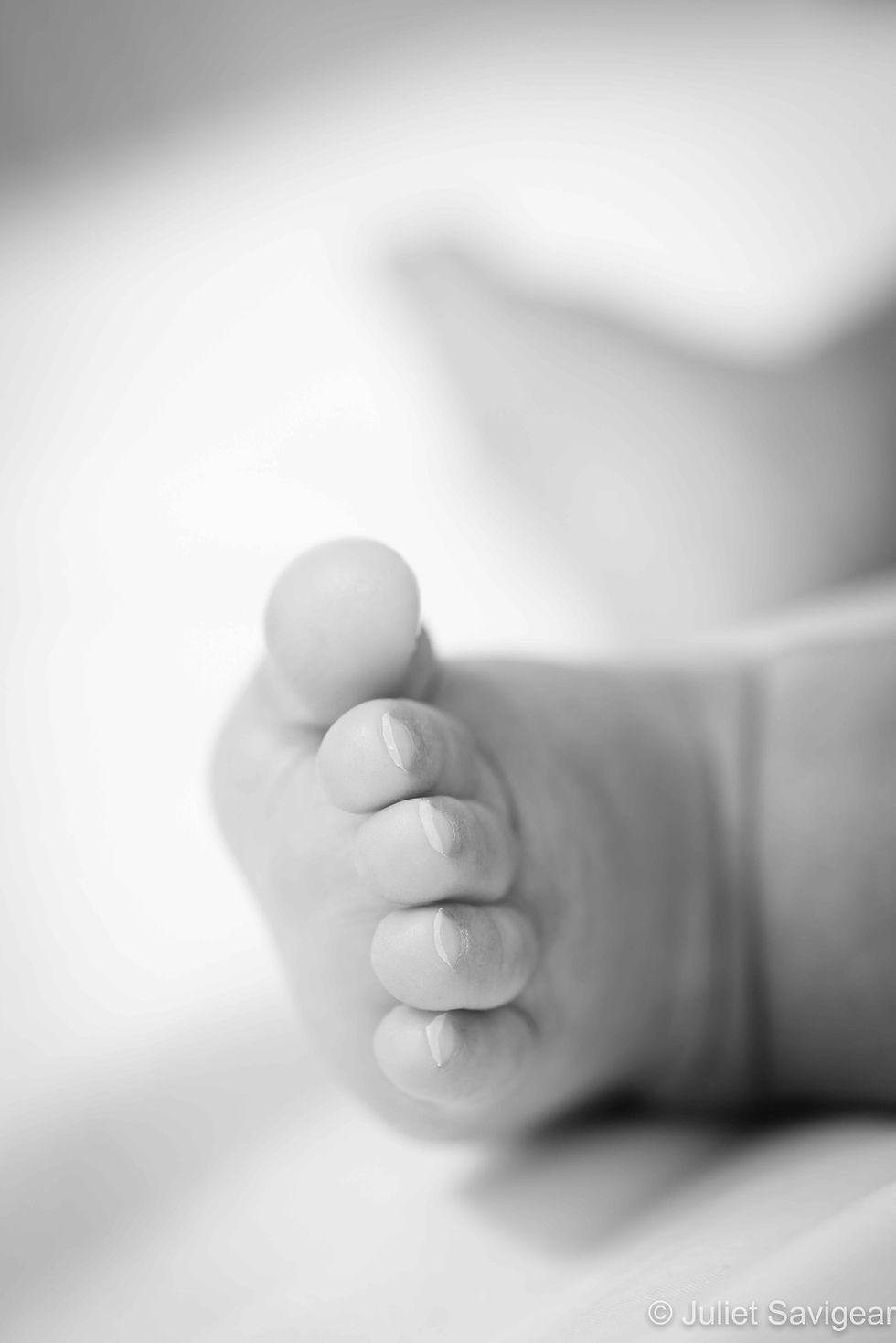 Baby Toes - Baby Photography - Norwood