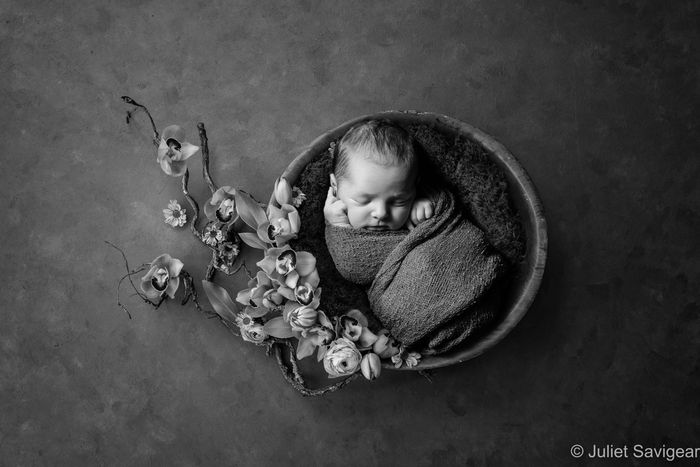 Newborn Baby & Family Photo Shoot - Balham