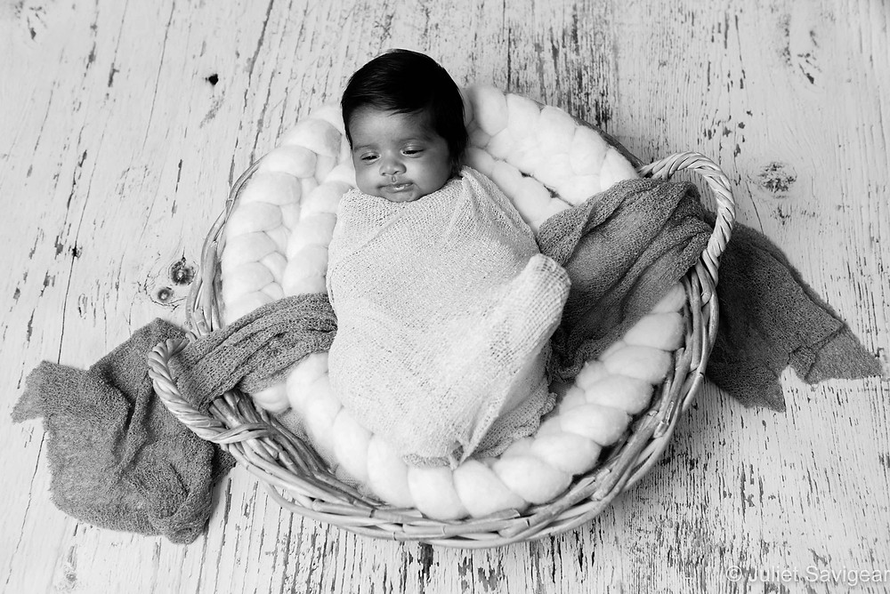 Baby In Basket - Baby Photography, Hammersmith