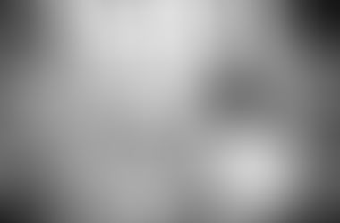 Bluebell Season in South London