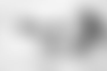 Newborn Baby Photographer - Ealing