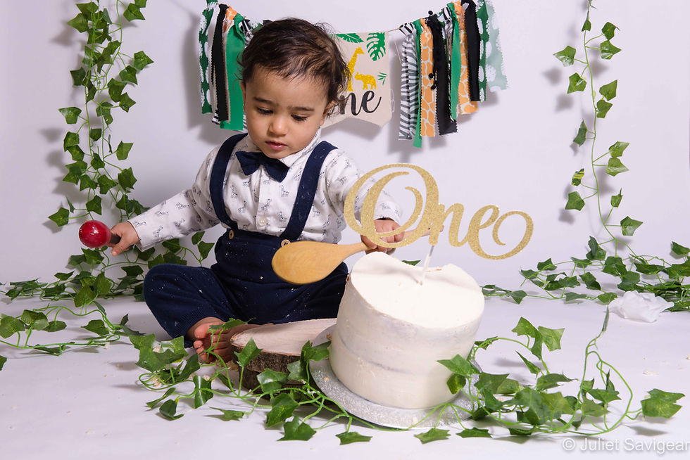 Jungle Cake Smash