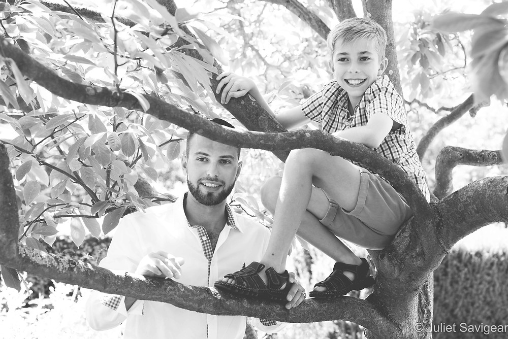 In the tree