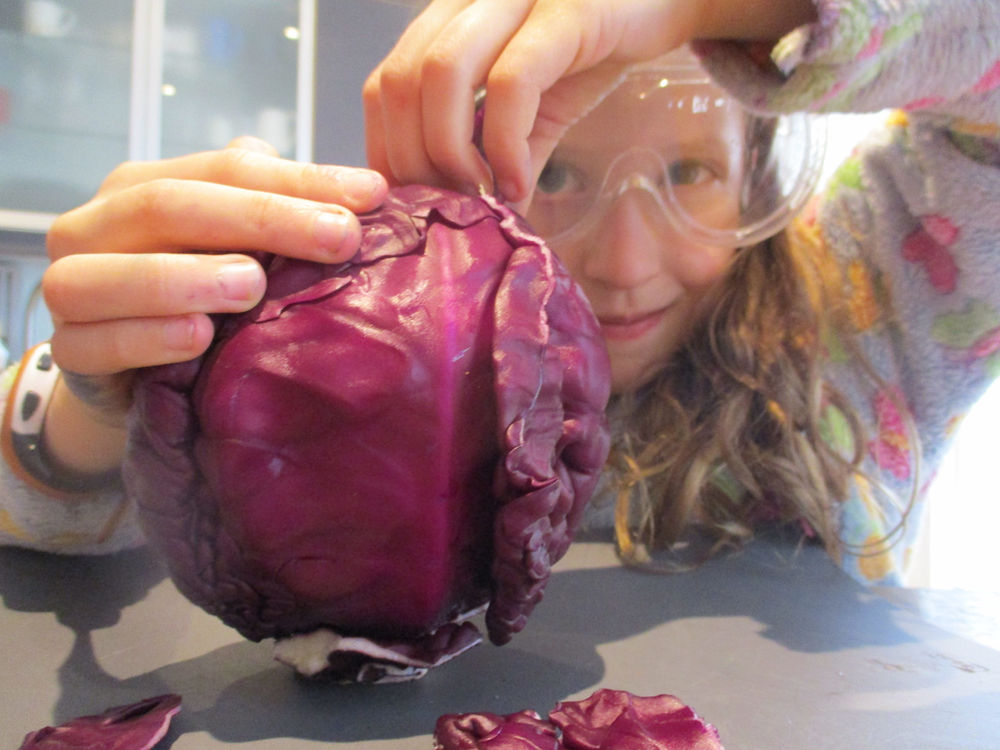Cabbage Science
