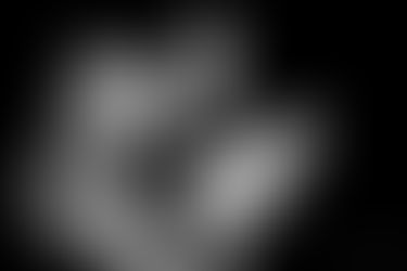 Newborn Baby & Family Photographer - Battersea