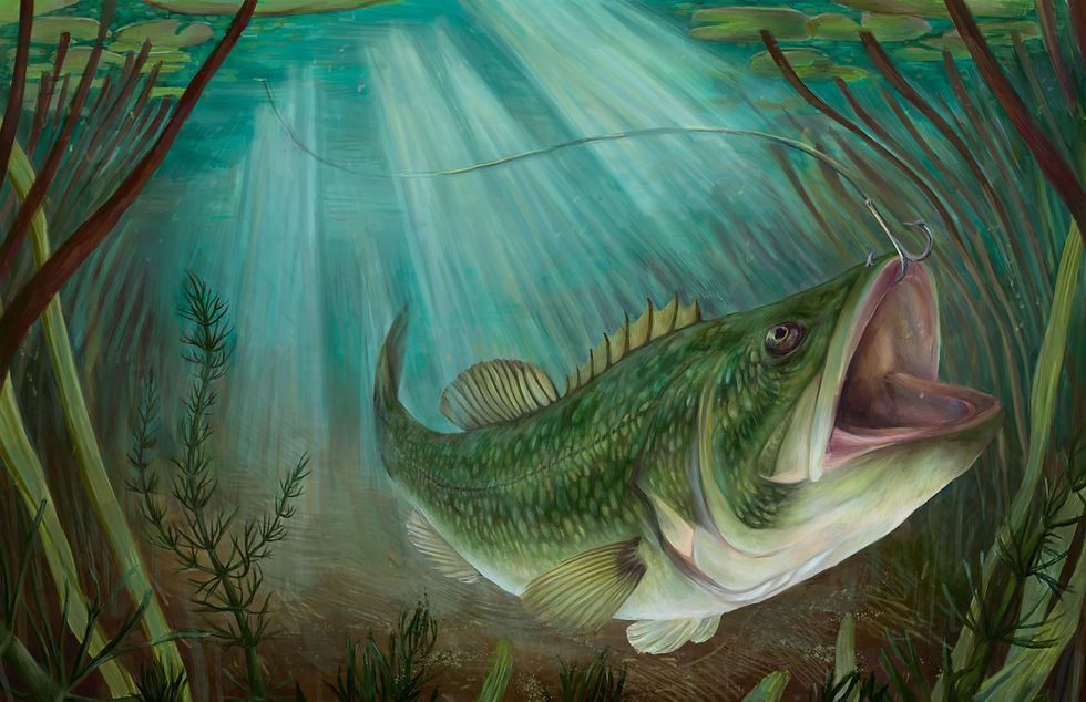 Sandy Pond Largemouth Bass Fishing