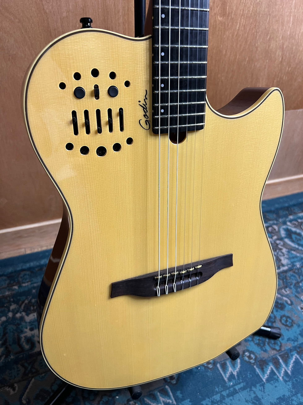Miniature : GODIN MULTIAC NYLON SA – 2017- État Exceptionnel
