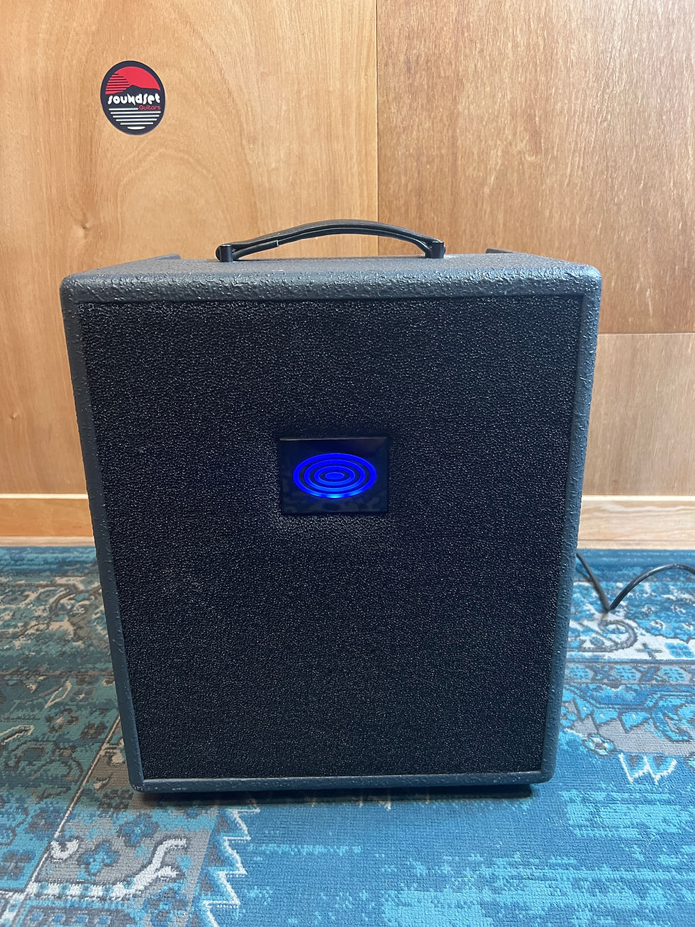 Miniature : SCHERTLER UNICO DELUXE 280W pur Class A