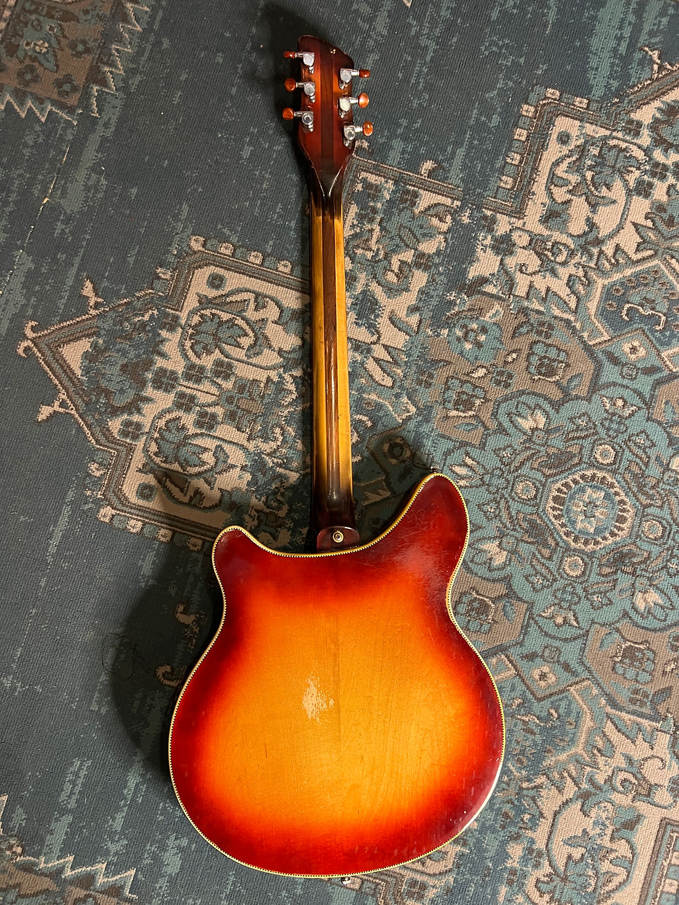 Miniature : Rickenbacker 360