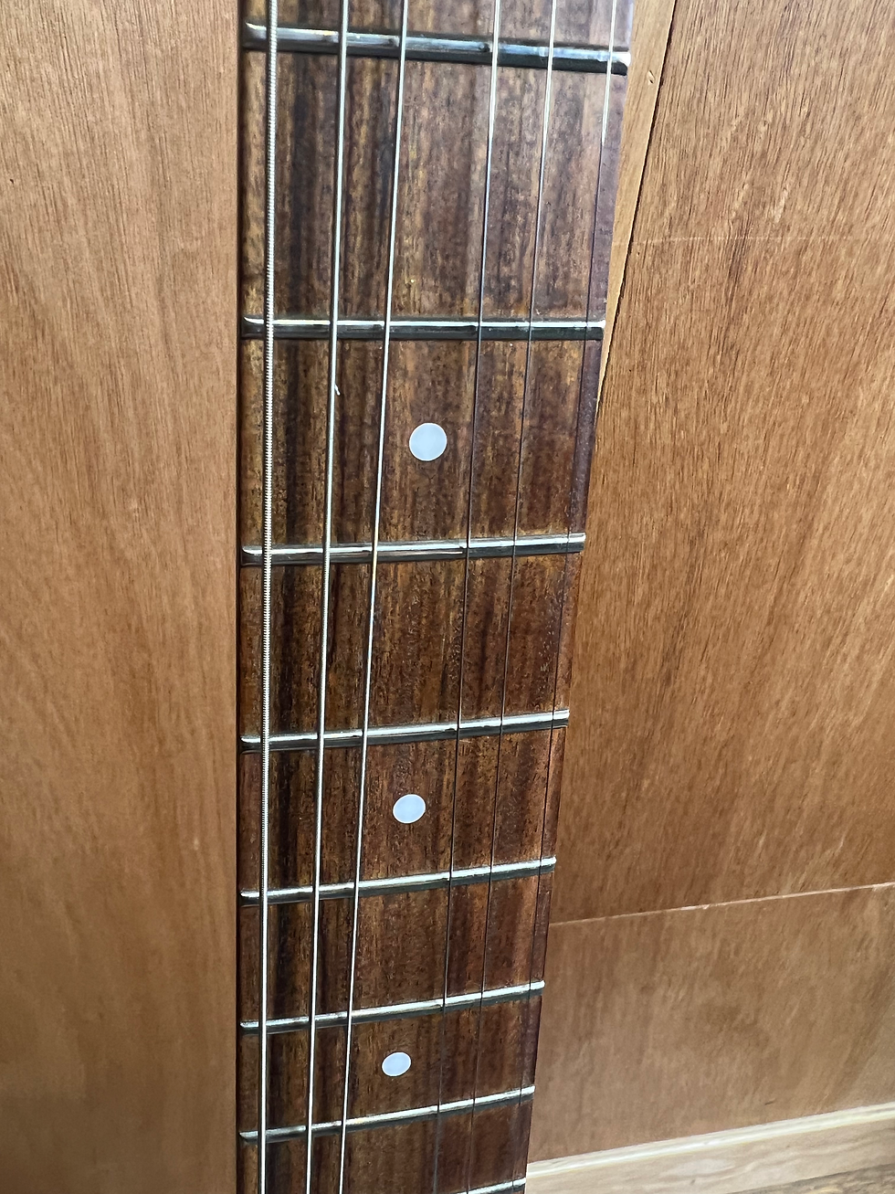 Miniature : DANELECTRO 59' divine