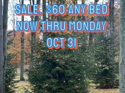 Fall Flash Tanning Sale