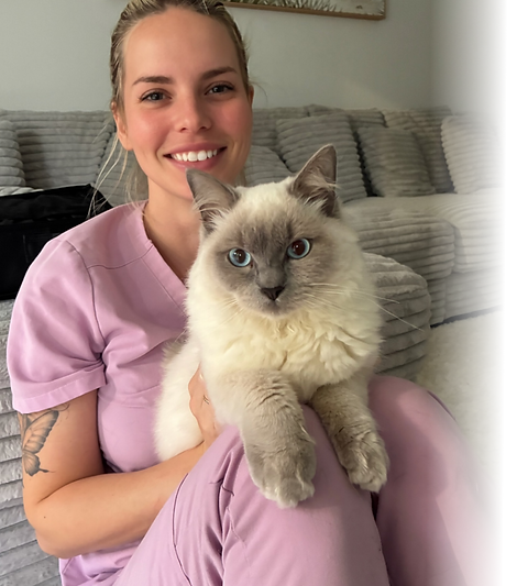 vet nurse jayne mobile vet nurses gold coast