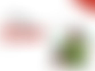 How Much IELTS Score Is Required for Italy Study Programs?