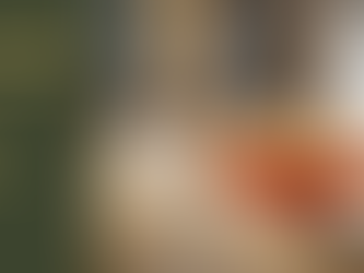 המדריך המלא לתזקיקי הפרי של אירופה