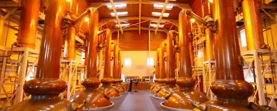 ALL WHISKY.webp