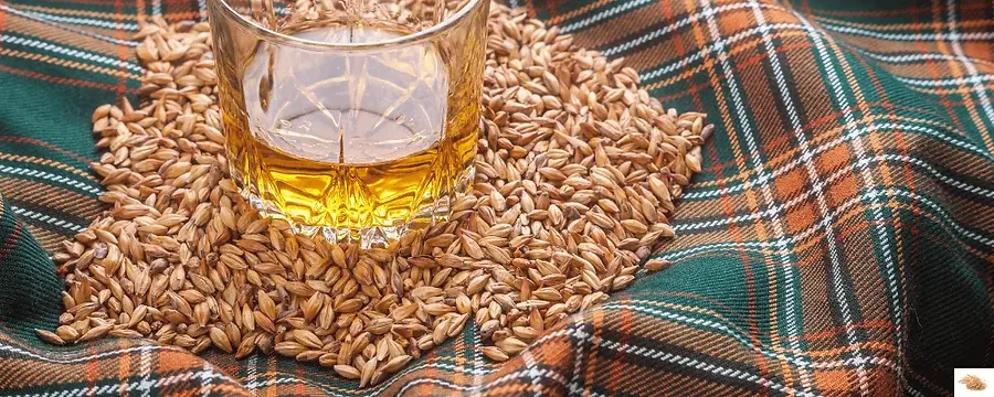 BANNER GRAIN WHISKY (1).webp