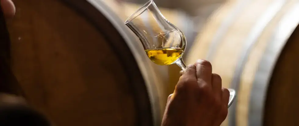 CALVADOS.webp