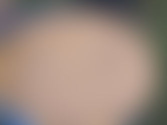 Permaculture and Jaivik Kheti: Jeevamrut & Agnihastra