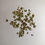 Thumbnail: Calendula Seeds