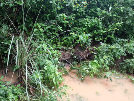 Water Management in Permaculture: Update 2014