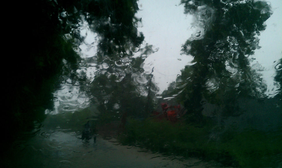 downpour in saharanpur nursery