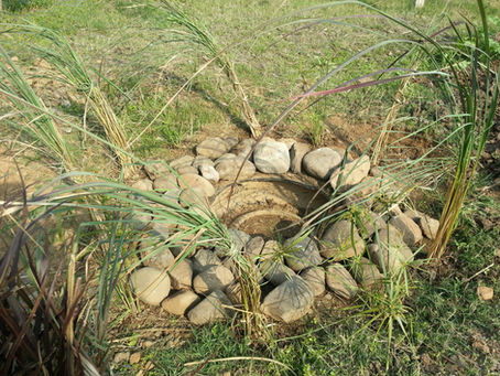 Water Management in Permaculture: The Tyre Pond