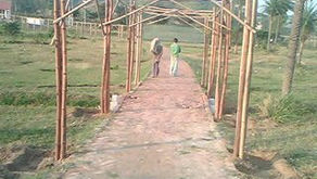 Permaculture Design: Vertical Space