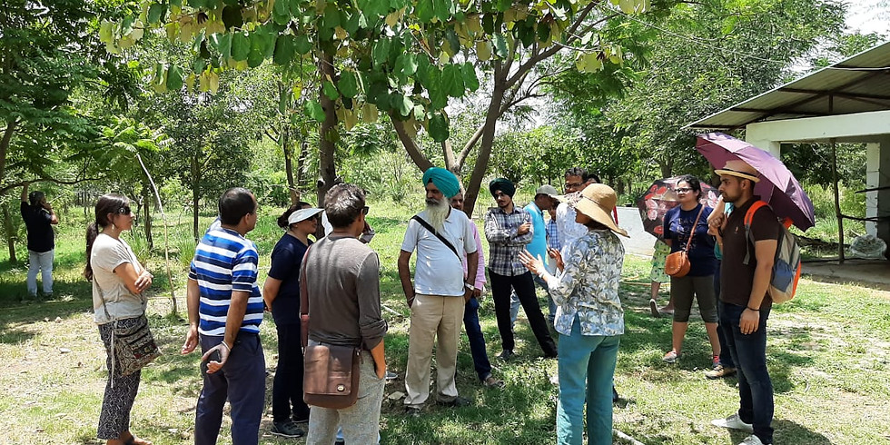 Aanandaa Farm Tour
