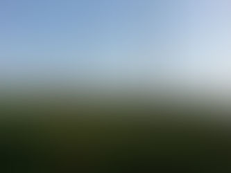 Agroforestry in Permaculture